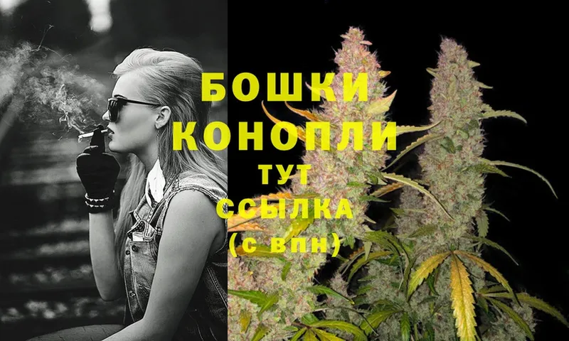 Бошки марихуана OG Kush  Урай 